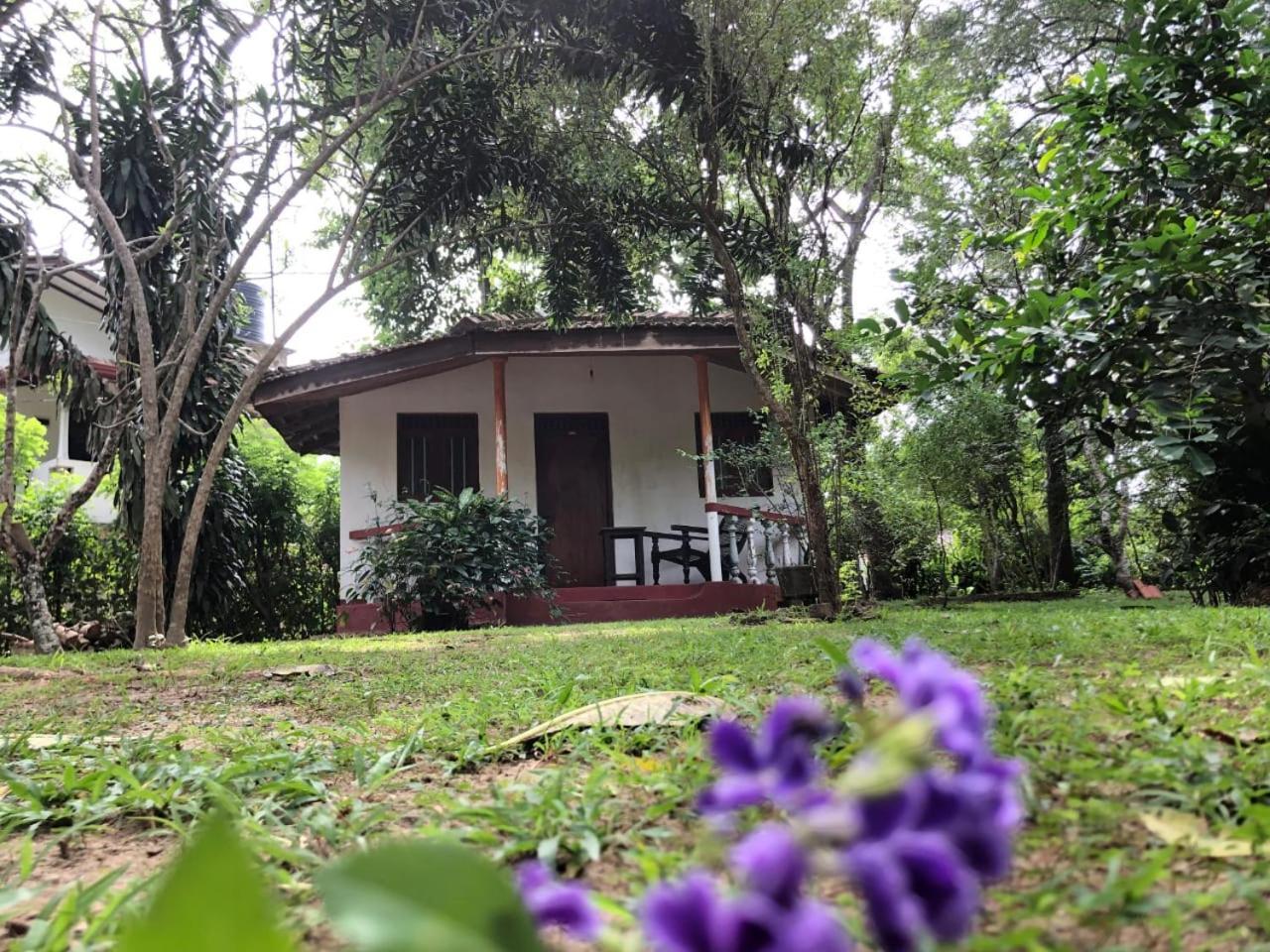Calm Garden Cabanas Tangalle Exterior photo