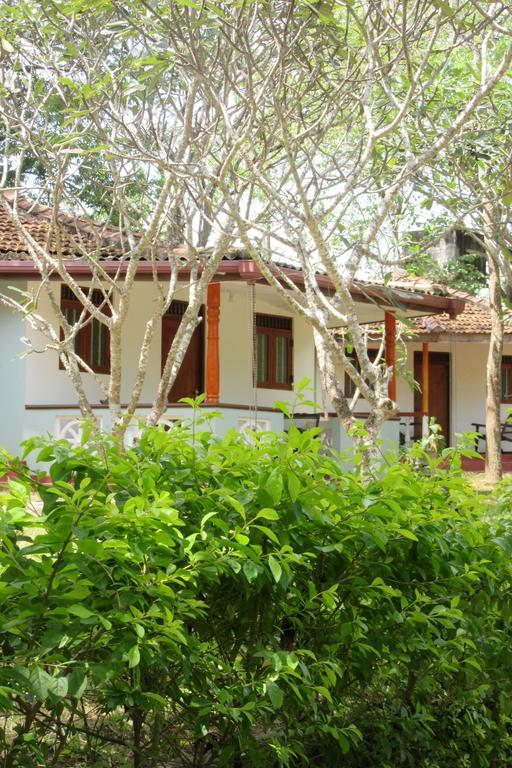 Calm Garden Cabanas Tangalle Exterior photo