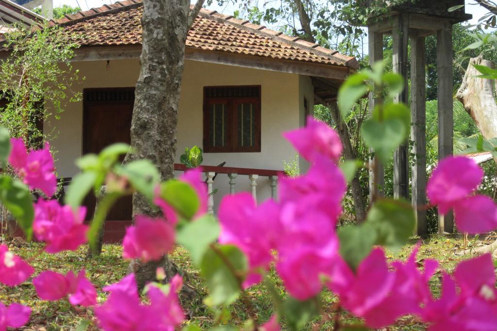Calm Garden Cabanas Tangalle Exterior photo