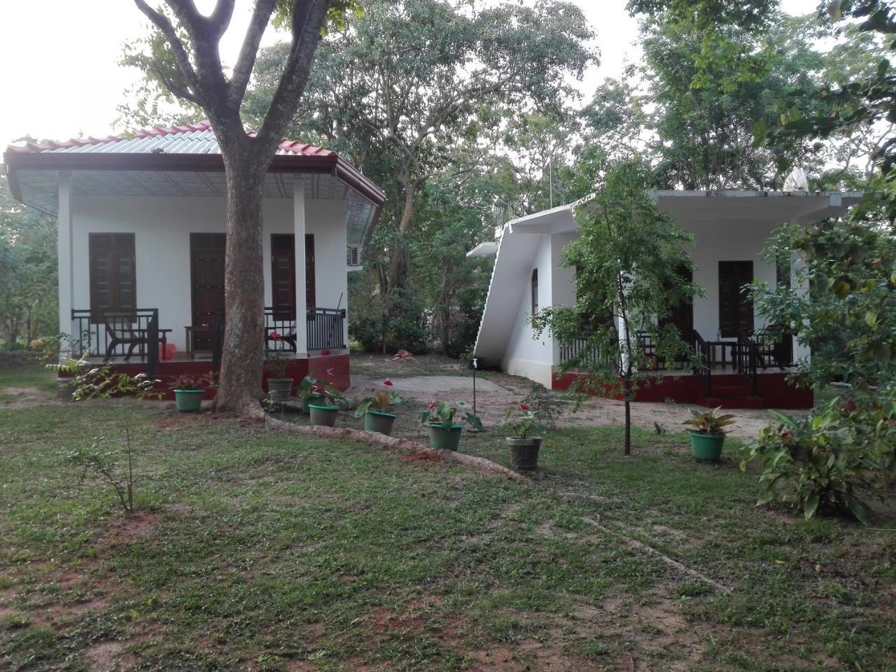 Calm Garden Cabanas Tangalle Exterior photo