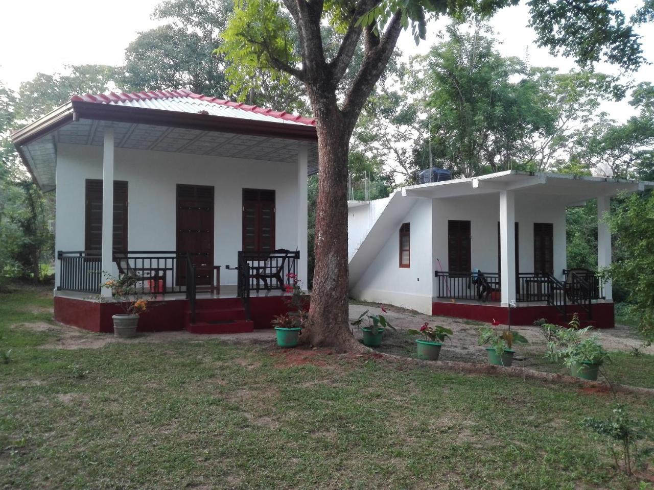 Calm Garden Cabanas Tangalle Exterior photo