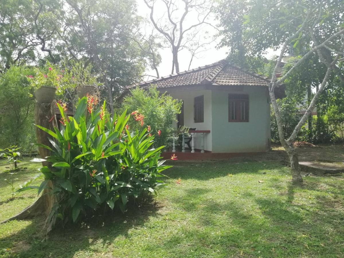 Calm Garden Cabanas Tangalle Exterior photo